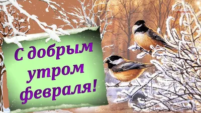 С ДОБРЫМ УТРОМ ФЕВРАЛЯ! - YouTube