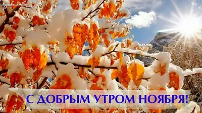 Картинки с Добрым утром ноября (60 штук)