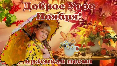 Доброе Воскресное Утро! 19 НОЯБРЯ. #утренниепожелания #осеннееутро #до... |  TikTok