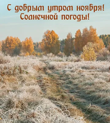 🌞 С последним осенним утром! | Поздравления, пожелания, открытки |  ВКонтакте