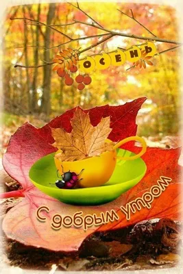 💫 С добрым утром, дорогие мои!💞 На дворе 1️⃣ октября.🍂🍁 Наступил второй  месяц осени.🍂🍁 Подходит к концу рабочая неделя!💼 Не думайте… | Instagram