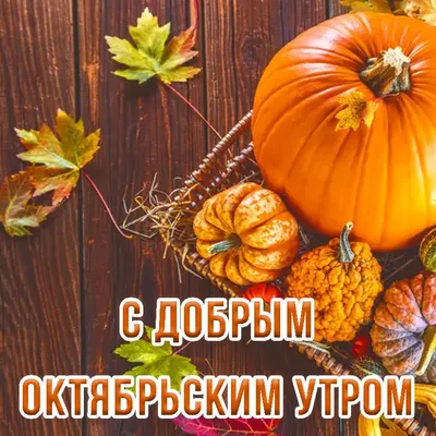 Картинки доброе октябрьское утро (100 шт.)