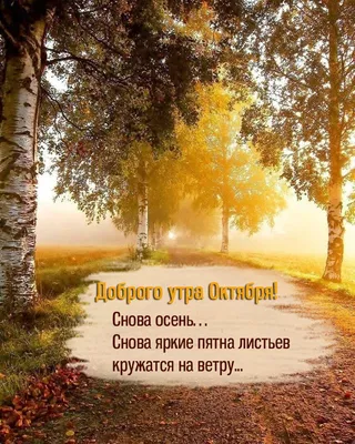 С добрым утром друзья ☕🍁🍂🍁🤗#28октября #сдобрымутром #доброе_утро |  TikTok