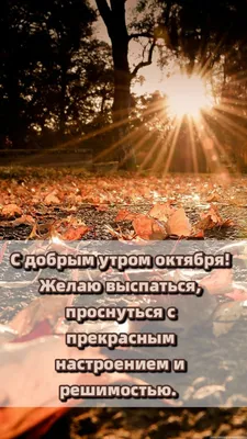 Открытки \"Доброе утро октябрь\" (1397 шт.)