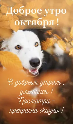 Одноклассники | Good morning gif, Good morning, Album