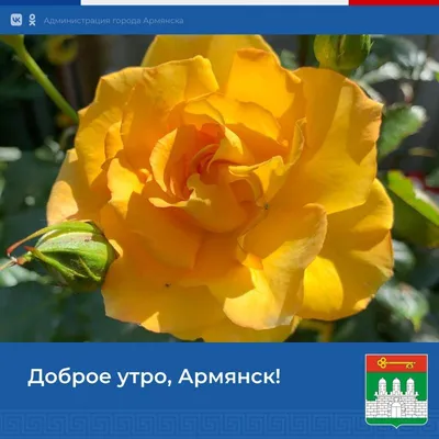 пятница #сдобрымутром 🤗Доброго утра и прекрасного дня вам друзья🌞 #... |  TikTok