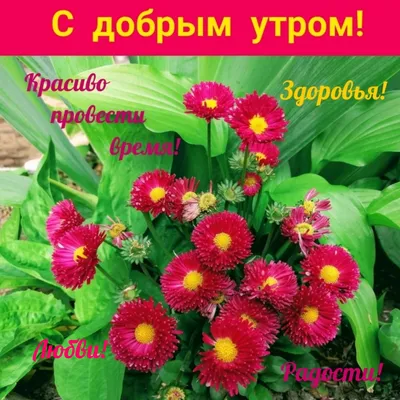 С Добрым Утром! ☕🌹Красивейшие Пожелания Доброго Утра и Здоровья! ПЕСНЯ  СУПЕР! - YouTube