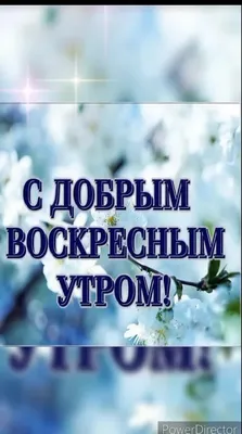 С ДОБРЫМ ВОСКРЕСНЫМ УТРОМ, МОИ САМЫЕ ЛУЧШИЕ ДРУЗЬЯ ! Хорошего вам отдыха и  прекрасного настроения ! Отдыхайте и будьте здоровы ! | Instagram