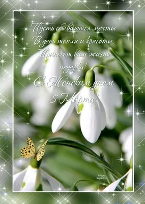 Чудесная открытка на Масленицу с белым цветочком