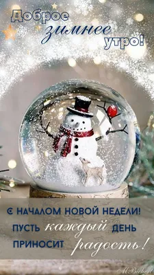 С началом новой недели! Пусть каждый день будет позитивным, радостным,  продуктивным и очень солнечным! | ВКонтакте