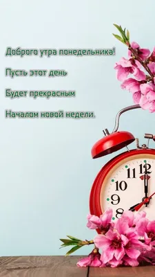 Доброе зимнее утро! С началом новой недели! | Открытки, Зимние картинки,  Зима