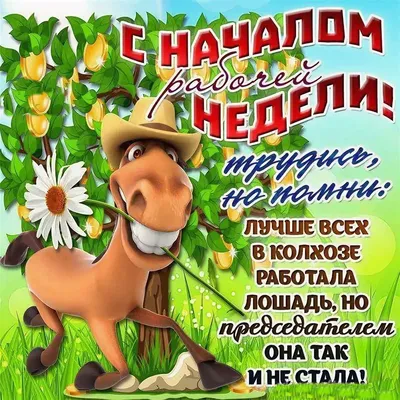 С началом новой недели! Есть цели долгосрочные, есть небольшие, с разбивкой  на недели. Последние я обычно прописываю в воск… | Motivation, Saving tips,  Saving money