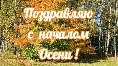 Как пережить конец лета и начало осени? | Христианство и смысл жизни | Дзен