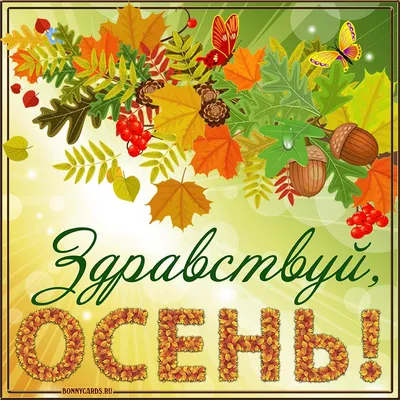 С Днём знаний! С началом осени! | 01.09.2023 | Семикаракорск - БезФормата