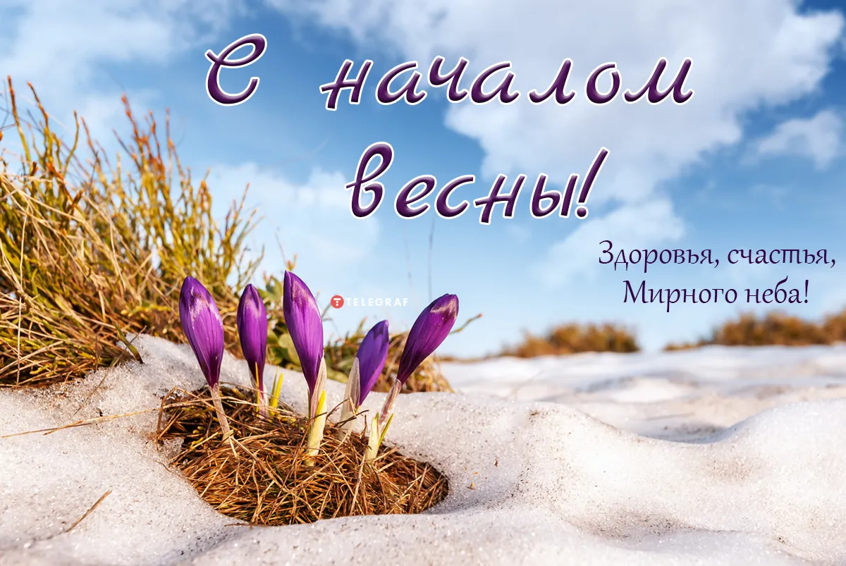 Поздравления с первым днем весны – открытки и пожелания в стихах на 1 марта - Телеграф Поздравления с первым днем весны – открытки и пожелания в стихах на 1 марта - Телеграф