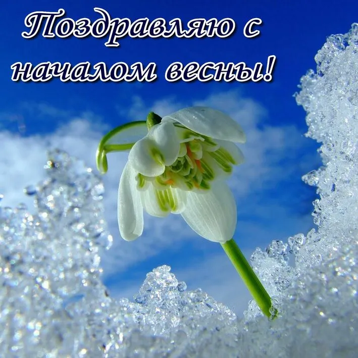 Поздравляю с началом весны! - Открытки с весной Поздравушка.ру Поздравляю с началом весны! - Открытки с весной Поздравушка.ру