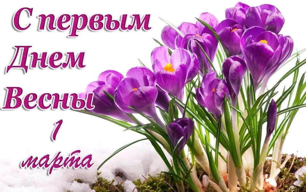 С первым днем весны - новые красивые открытки (46 ФОТО) С первым днем весны - новые красивые открытки (46 ФОТО)