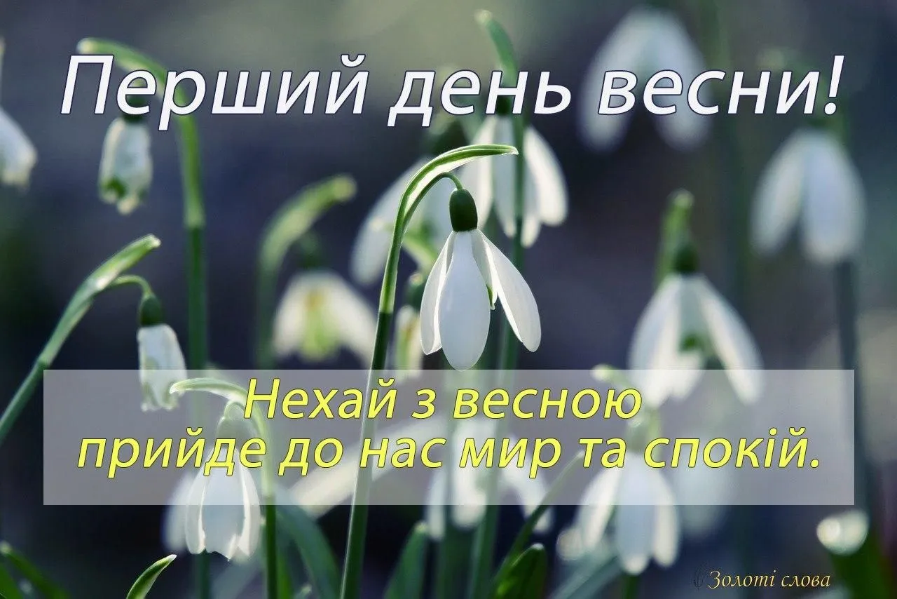 Поздравляем с началом весны и Международным женским днём! - Новости Компании Гидроснаб Поздравляем с началом весны и Международным женским днём! - Новости Компании Гидроснаб