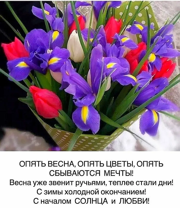 С НАЧАЛОМ 🍃🌺💜🌺🌿 ВЕСНЫ! С НАЧАЛОМ 🍃🌺💜🌺🌿 ВЕСНЫ!