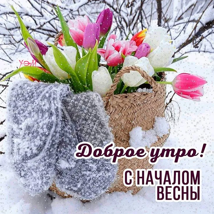 Красивые открытки \"Доброе утро! С первым днем весны\", \"С началом весны\" | Краски жизни | Дзен Красивые открытки \"Доброе утро! С первым днем весны\", \"С началом весны\" | Краски жизни | Дзен