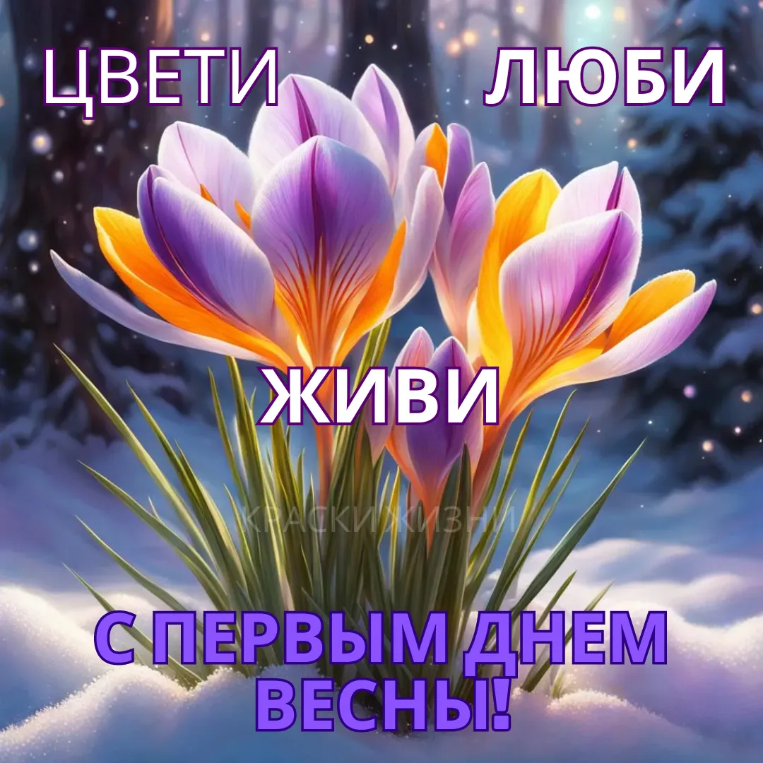 Красивые открытки \"Доброе утро! С первым днем весны\", \"С началом весны\" | Краски жизни | Дзен Красивые открытки \"Доброе утро! С первым днем весны\", \"С началом весны\" | Краски жизни | Дзен