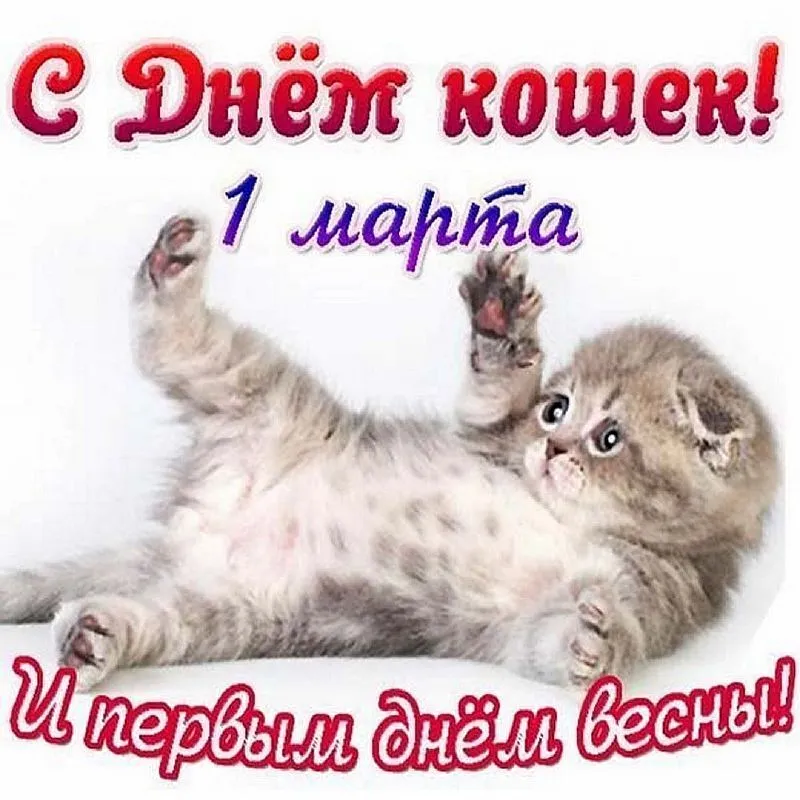 С началом весны Открытка | Открытки, Праздничные открытки, Милые открытки С началом весны Открытка | Открытки, Праздничные открытки, Милые открытки