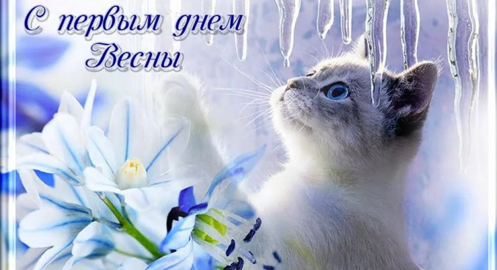 ЖК «Молодёжный» поздравляет всех женщин с началом весны! - Новости компаний Тулы и области - MySlo.ru ЖК «Молодёжный» поздравляет всех женщин с началом весны! - Новости компаний Тулы и области - MySlo.ru