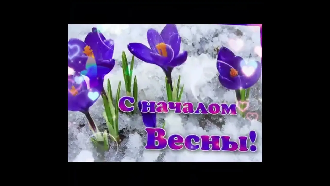 Сборный букет \"Начало весны\" из тюльпанов и ранункулюсов, доставка цветов в Москве 24 часа Сборный букет \"Начало весны\" из тюльпанов и ранункулюсов, доставка цветов в Москве 24 часа