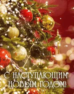 Всех с наступившим НОВЫМ ГОДОМ! | Московское представительство АО НПО  «Техкранэнерго»