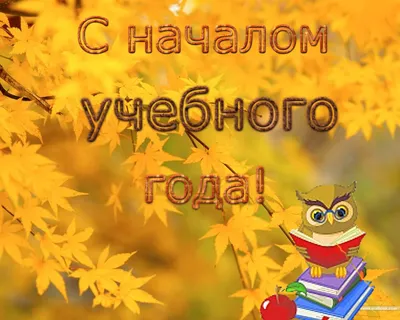 Поздравление с новым учебным годом!