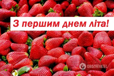 Друзья, коллеги, поздравляем Вас с Днем защиты детей и первым днем лета!