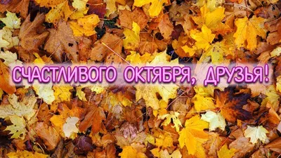 С первым днём Октября 🍁 | TikTok