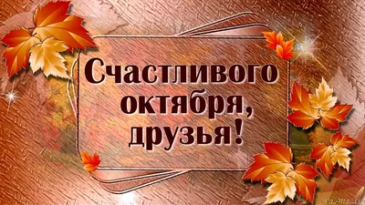 Осенняя картинка с пожелтевшими листьями в первый день октября, второго  месяца осени «здравствуй, октябрь» | Октябрь, Картинки, Осенние картинки