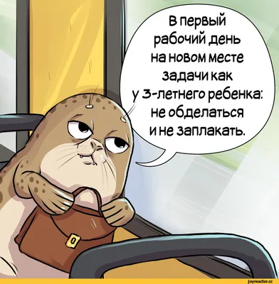 В первый рабочий день года в Туве на работу вышли 117 тысяч человек »  Тува-Онлайн