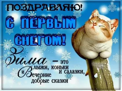 Первый снег в Омской области может выпасть в начале октября | 12 канал