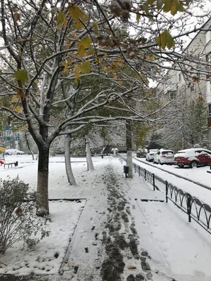 Гифки с первым снегом прикольные скачать бесплатно