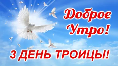 Александр Шатов: Уважаемые шахтерцы!. Сердечно поздравляю вас со светлым  праздником Святой Троицы! - Лента новостей ДНР