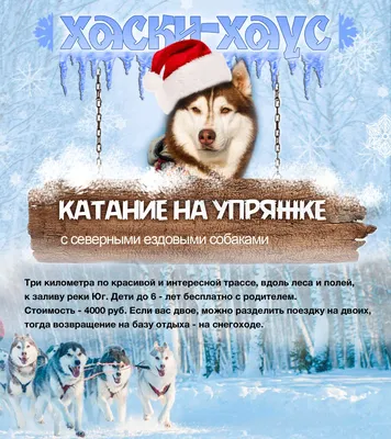 А что это у вас на носу?\" или \"С первым днем зимы!\" | Рыжее лукошко историй  | Дзен