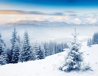 Поздравляю всех с ПЕРВЫМ ДНЁМ ЗИМЫ!❄️⛄️🛷 Пусть этой зимой в ваших домах  будет тепло и уют, а вас греет любовь.. | ВКонтакте