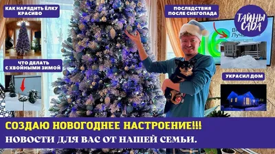 Тур по Алтаю зимой