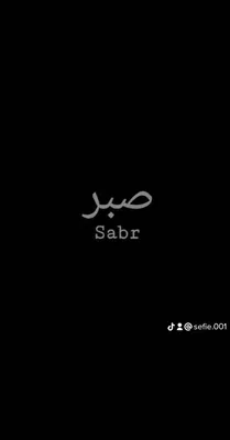 Sabr arabic logo simple sabr calligraphic logo Vector Image