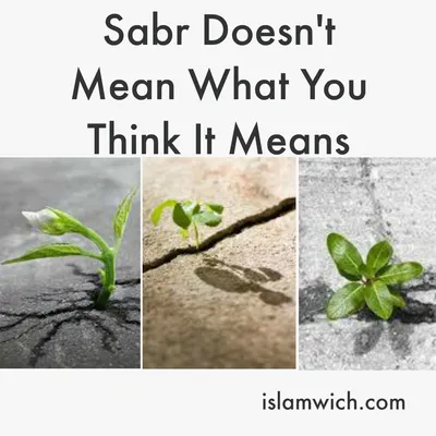 Sabr (patience) is when you dream of roses but walk on thorns. Islamic  quote Stock Photo - Alamy