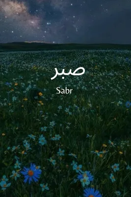 Sabr (Patience) Greeting Card – A Momentary Pause