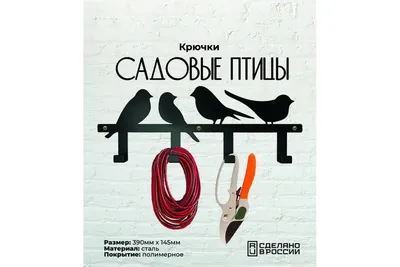 садовые птицы. Робин-эритакус-рубекула Стоковое Изображение - изображение  насчитывающей хворостина, вилочка: 233553251