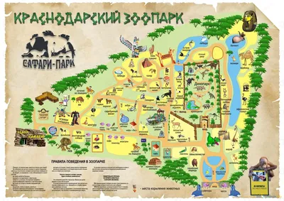 Сафари парк Краснодар фото фото
