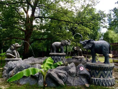 Краснодарский зоопарк Сафари парк, Краснодар - «Как выглядит единственный в  России частный зоопарк. Хорошо ли там живется животным?» | отзывы