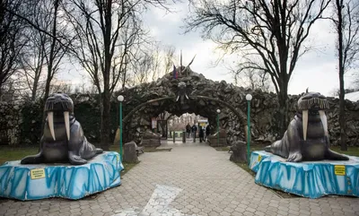 Gallery: Сафари-парк в Краснодаре - 7туканов | Поделись cвоими опытом  путешествий