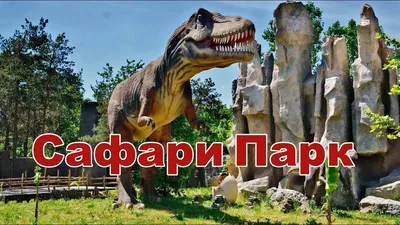 Краснодар + Сафари парк — КавказСкиТур — г. Нальчик