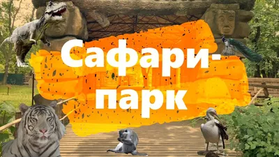 Отзыв о Сафари-парк (Россия, Краснодар) | куда пойти с ребенком в Краснодаре,  покормить лемуров можно и на Кубани!