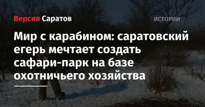 Развлекательный центр Сафари парк в ТЦ Сокол - отзывы, фото, цены, телефон  и адрес - Развлечения - Ростов-на-Дону - Zoon.ru